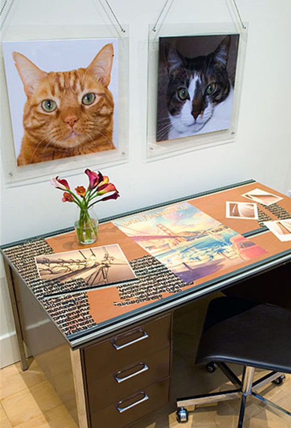 Two cat portraits - one an orange tabby, the other a black-and-white kitty - hang side-by-side above a modern San Francisco loft desk.