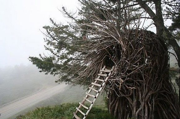 Looking out over foggy countryside, a wooden ladder leads up to a human-scale nest, created by folded tree branches. Artist: Jayson Fann.