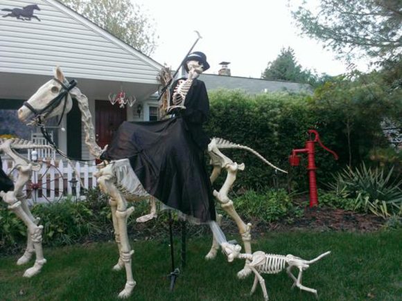 Photo of a front yard with green lawn and bushes as a backdrop to a white skeleton of a female rider wearing black skirt and sweater with a black and white hat, atop a white skeleton horse with a saddle and bridle,  followed by a white skeleton dog nipping the heels of the horse.