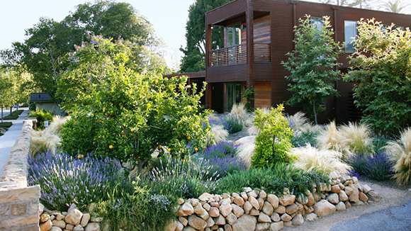 A brown modern square wood house with a railed balcony overlooks a yard of grasses and trees with rocks and brushes in varying shades of green, tan, and purple flowers.