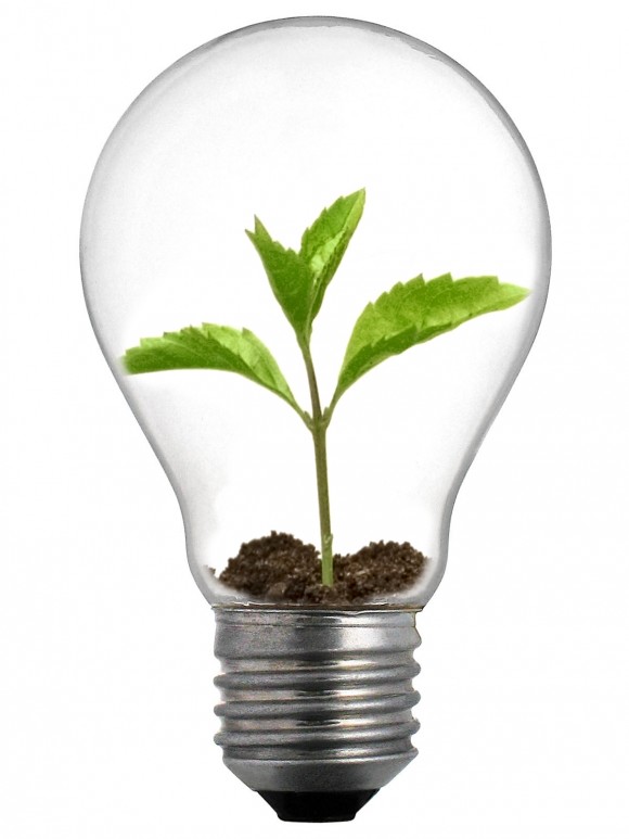 Lightbulb with soil and a small sprout growing inside