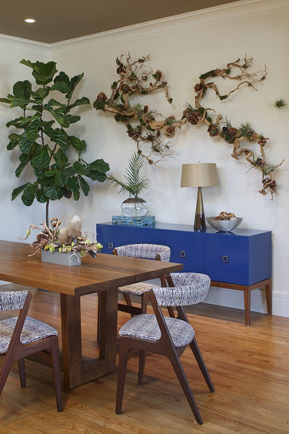 Photo of a midcentury modern dining room, with patterned chairs and a deep wood table that nearly matches the flooring. Beyond, against the rear wall, is a bright blue sideboard dressed with a vase of fresh cuttings, a lamp, and a bowl of glass balls. Above the sideboard is a wall-mounted driftwood sculpture with multiple air plants and mosses growing. To the left of the sideboard in the corner is a tall fiddle plant with dark green leaves.