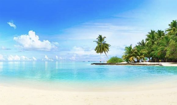 Soothing beach with white sand at the bottom, blue-green clear water in the center, palm trees and greenery at the edge of the beach, and white puffy clouds against a blue sky.