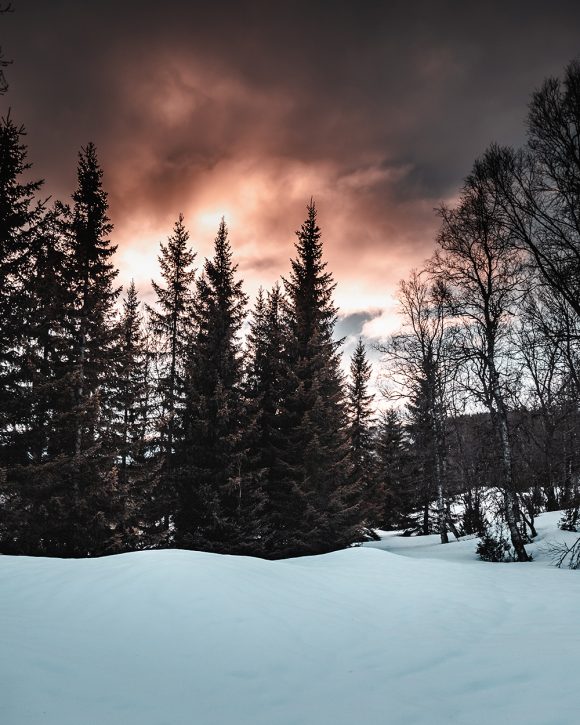 Winter scene in the mountains, with white snow on the ground, dark trees, and a reddish sky above.