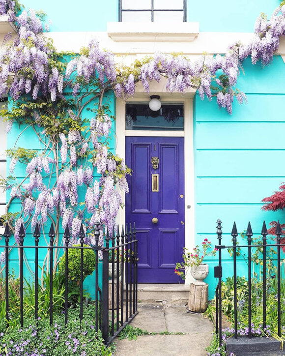 A light turquoise colored shiplapped exterior of a house, with a purple front door and wisteria vines up the left side and over the door. Metal railings at the front with an open gate.