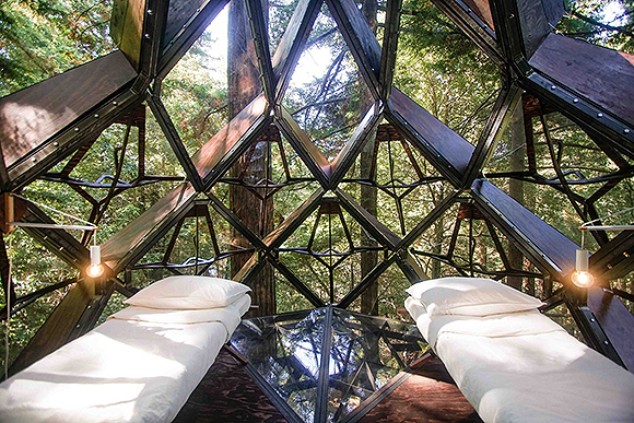 VIew from the inside of the pinecone treehouse, showing two single beds in white sheets and pillows leading to the exterior glass and metal views of the forest.