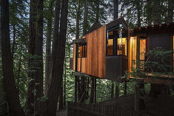 A modern redwood treehouse with tall glass windows glowing with orange-colored inside lights stands on stilts inside a redwood forest.