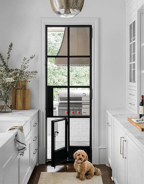 A small curly-haired brown dog sits on a tan rug against a dark wood floor, between a white galley kitchen with white and grey marble counters, dressed with a bottle of wine. A multi-paned black metal door is behind him, with one pane open to show it's a dog door. Outside is a grill and green plants.