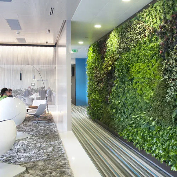 Hallway across from a modern seating area with white bubble chairs in an office building. The hall flooring to the right has blue, green, and beige stripes running longways. The main visible hallway wall is a living green vertical wall filled with plants. Overhead lights shine down across the plants. A blue wall is visible at the rear, marking a turn into another hallway or room.