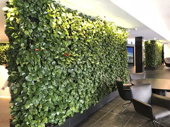 A living green wall of vines is used as a room divider between a seating area with dark leather chairs and round tables, and others spaces in the building. The flooring is dark tile, while the ceilings are white.
